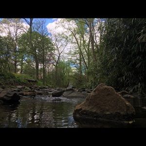 Meet your Posher, Ben